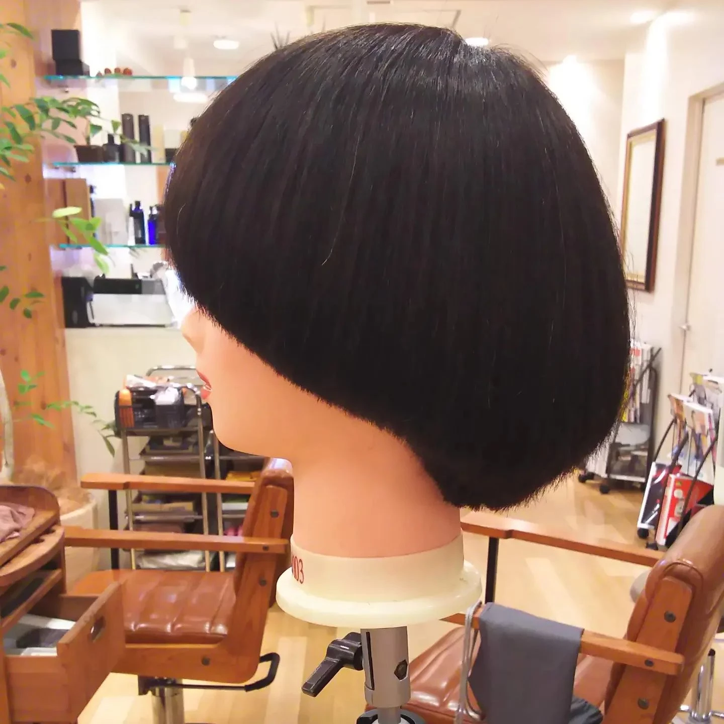 画像1289