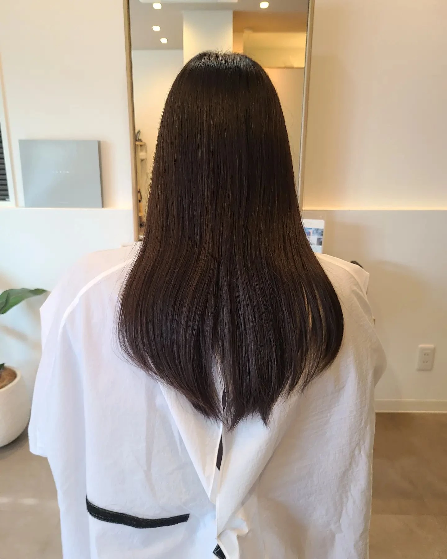 画像1394
