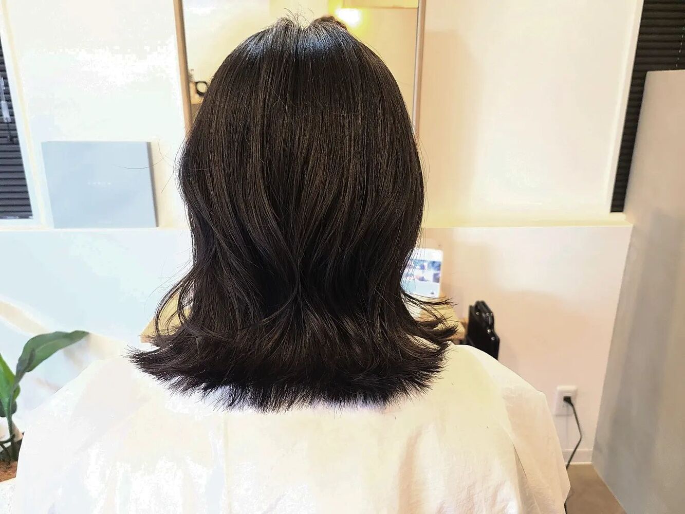 画像1397
