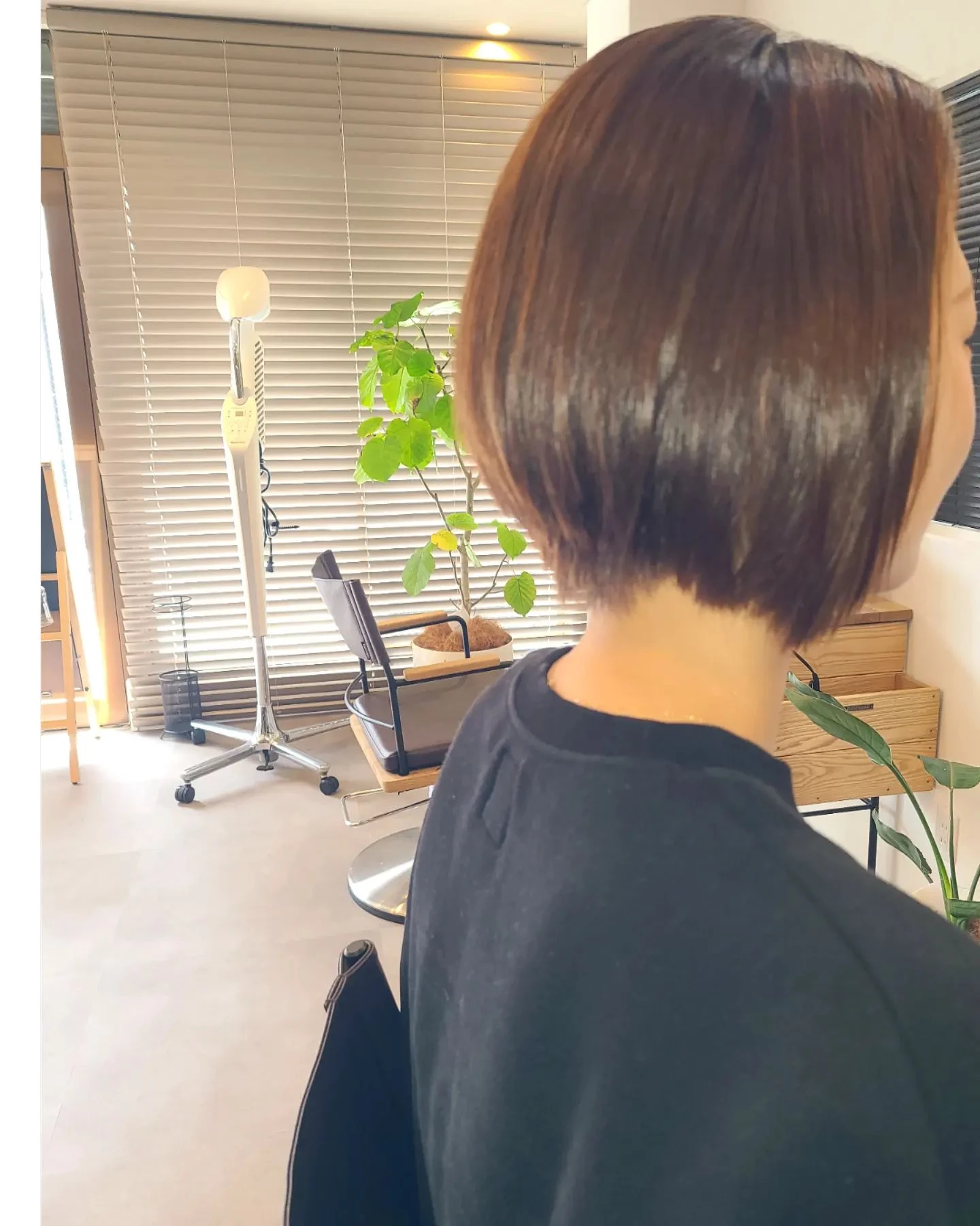 画像1439